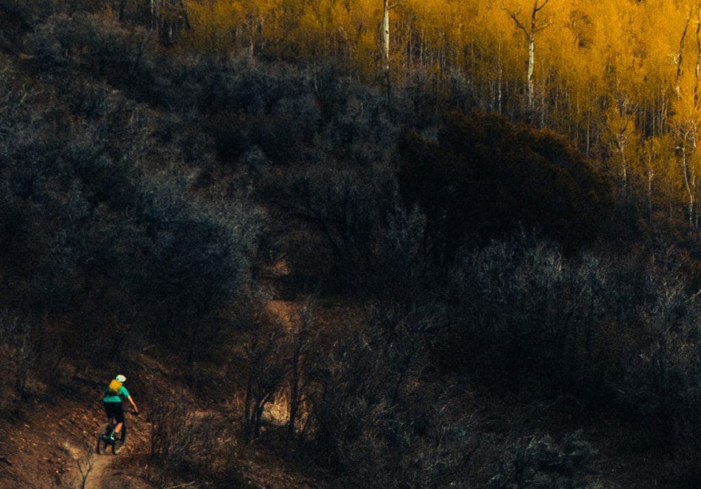 Mountain Biking Trail