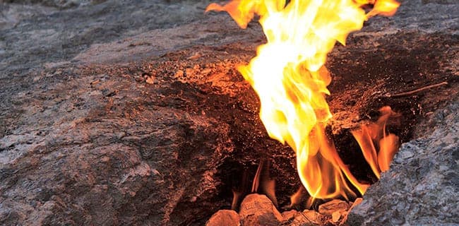 survival2 | Adventure Out