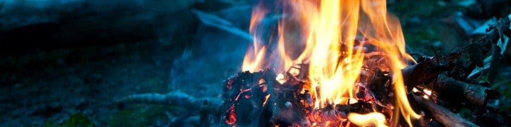 survival-background | Adventure Out